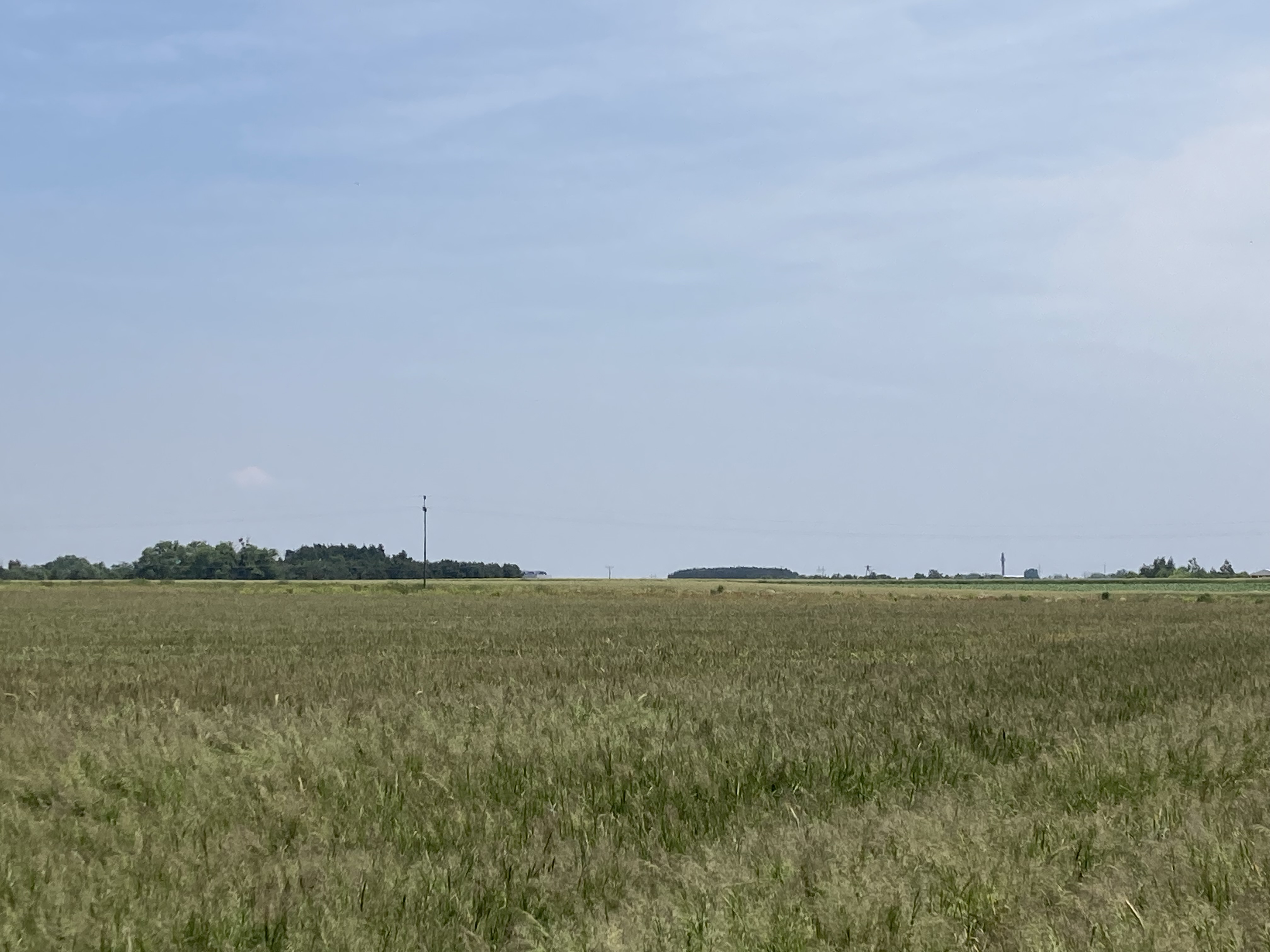 ProsperHome.pl - centrum nieruchomości: Ratowice  