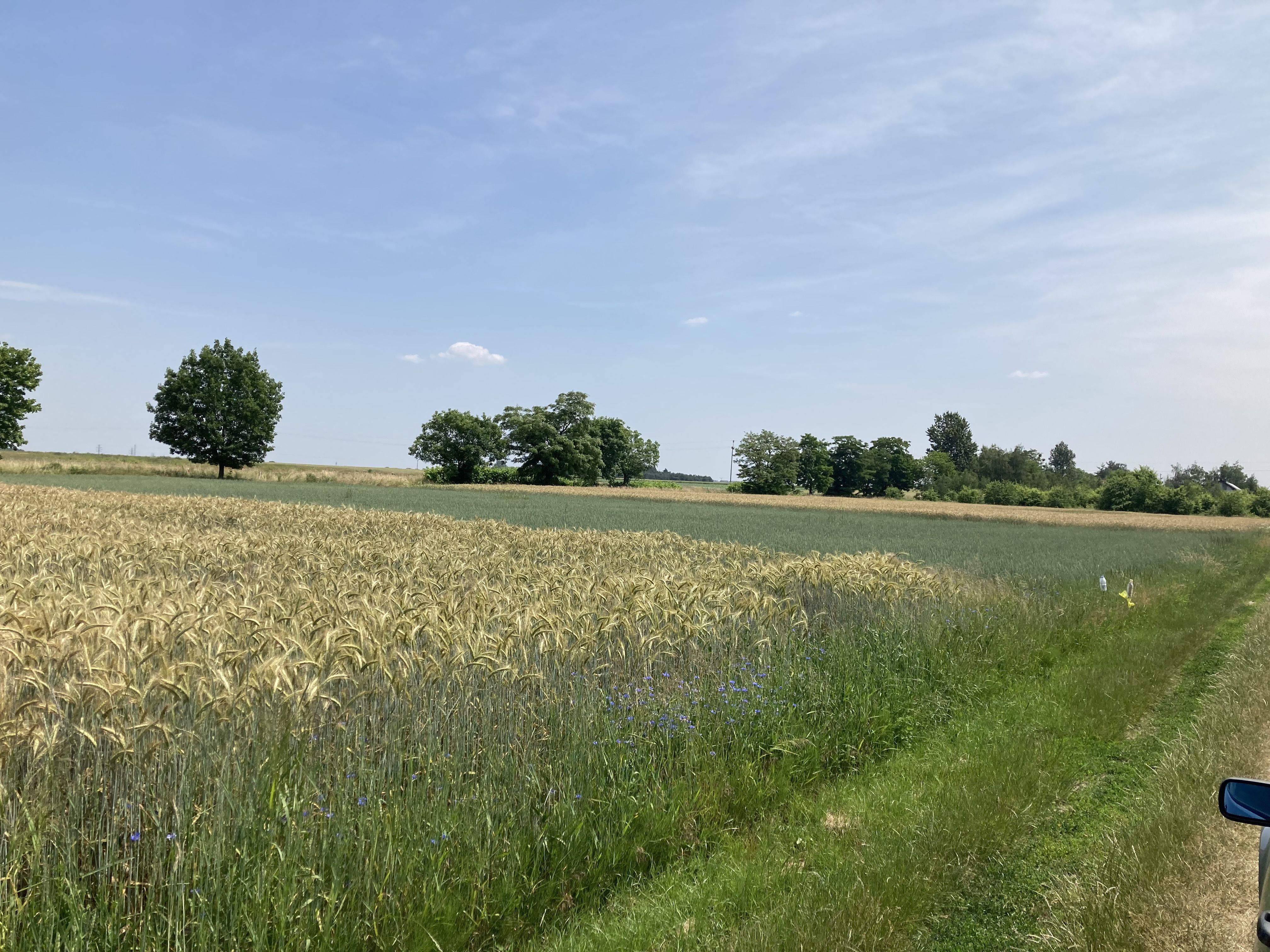 ProsperHome.pl - centrum nieruchomości: Ratowice  